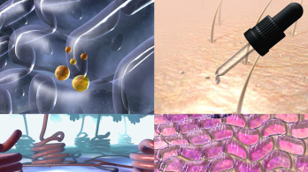Exemple d'illustration 3D de visualisation scientifique organique Visuel d’illustrations 3D technique et organique pour scientiques avec visualisation de cellules et d’organes
